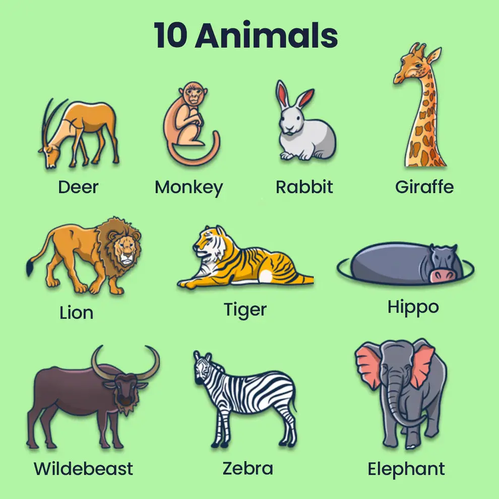 image 4.webp