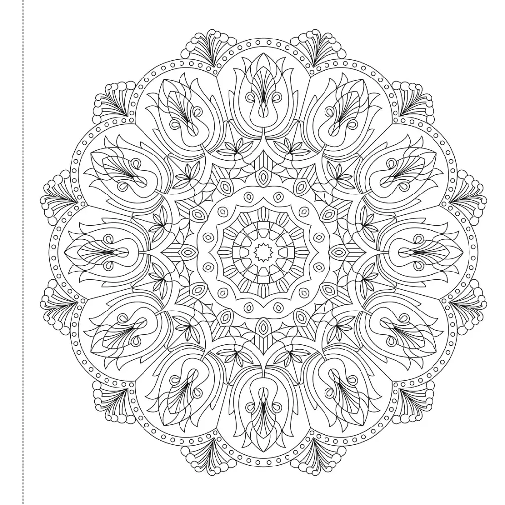 image 4.webp