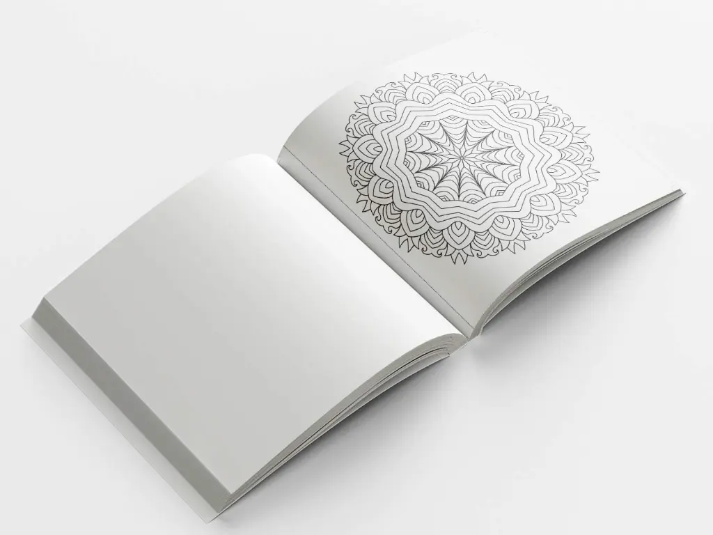 image 3.webp